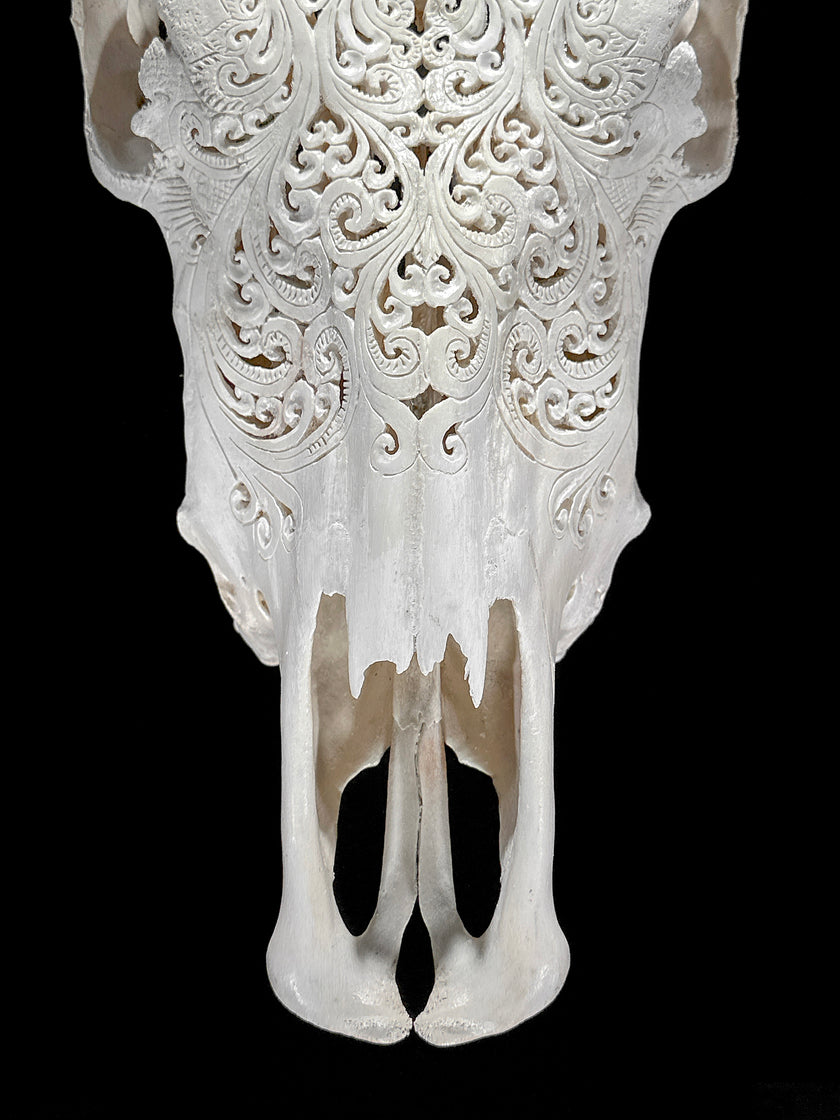 Bull Skull Carved Tradball - Skull,A/150
