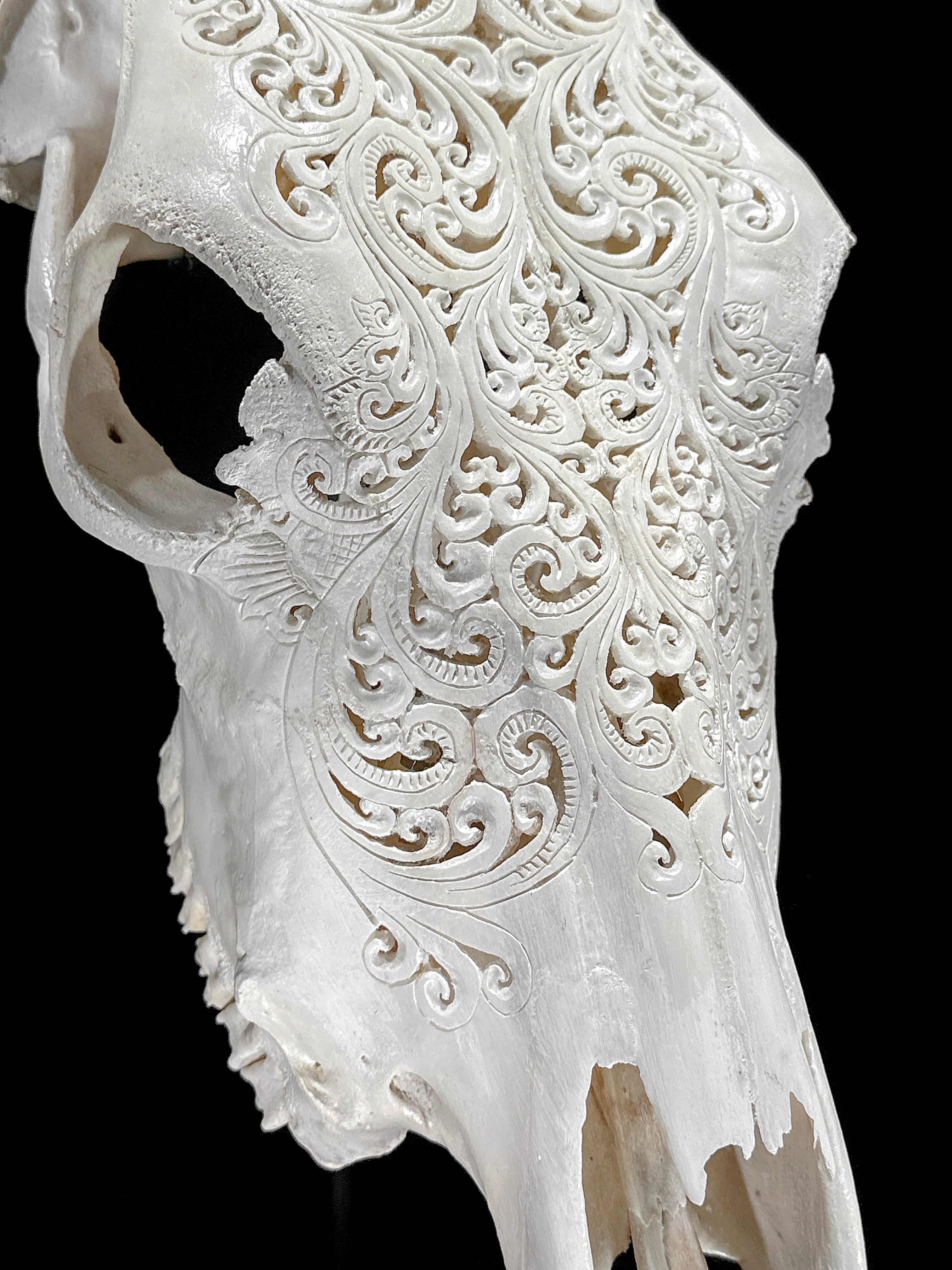 Bull Skull Carved Tradball - Skull,A/150