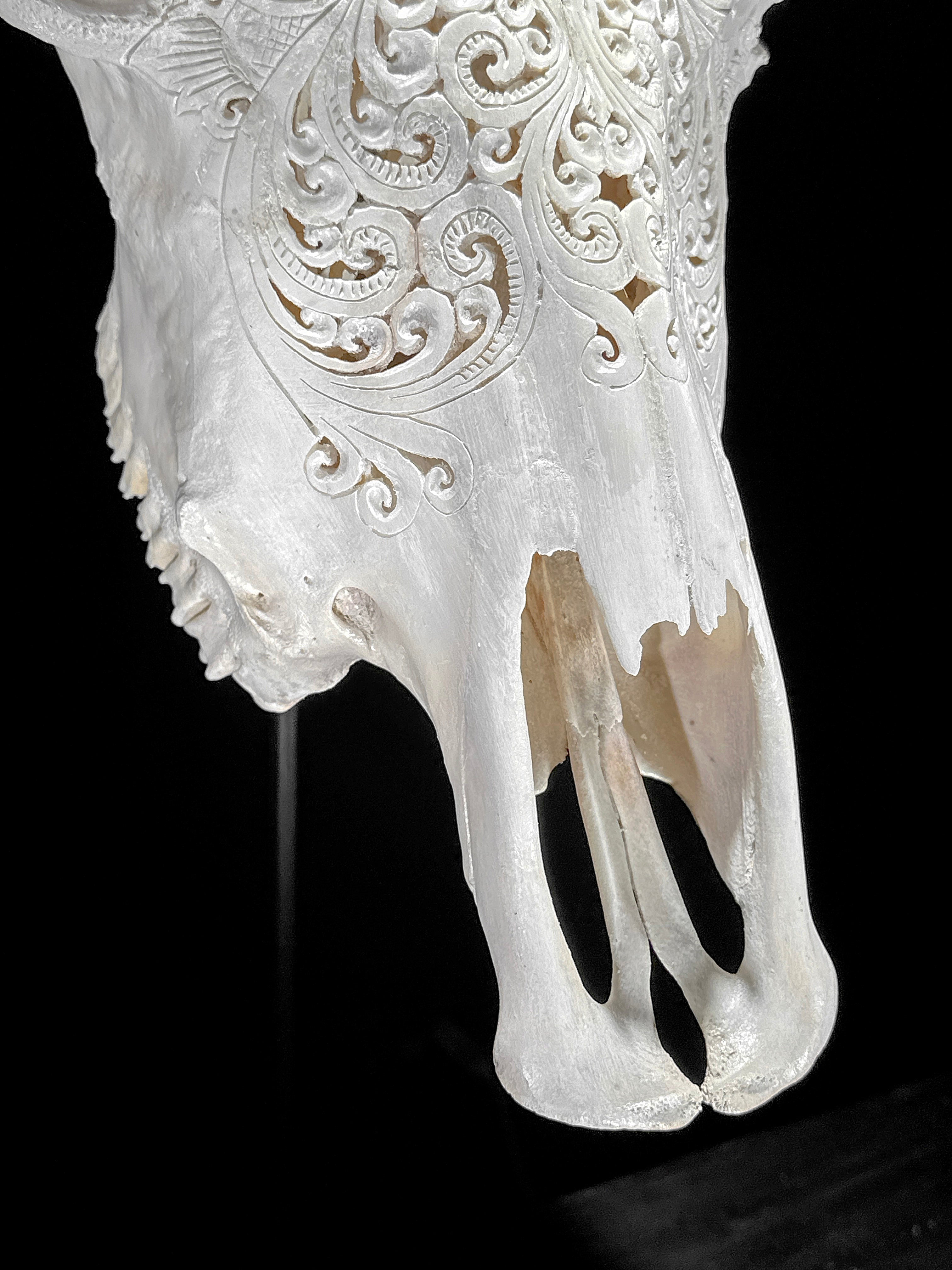 Bull Skull Carved Tradball - Skull,A/150