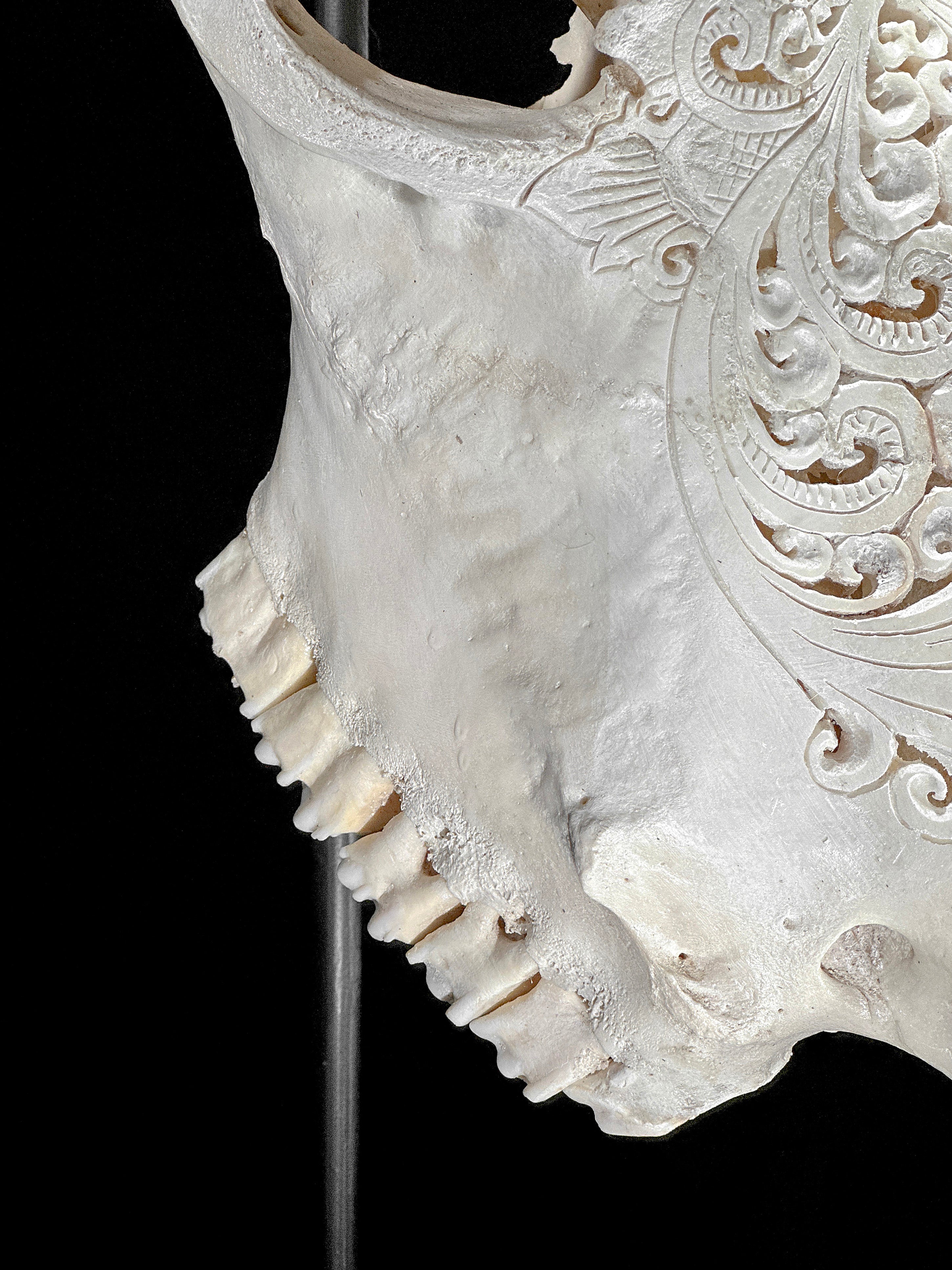 Bull Skull Carved Tradball - Skull,A/150