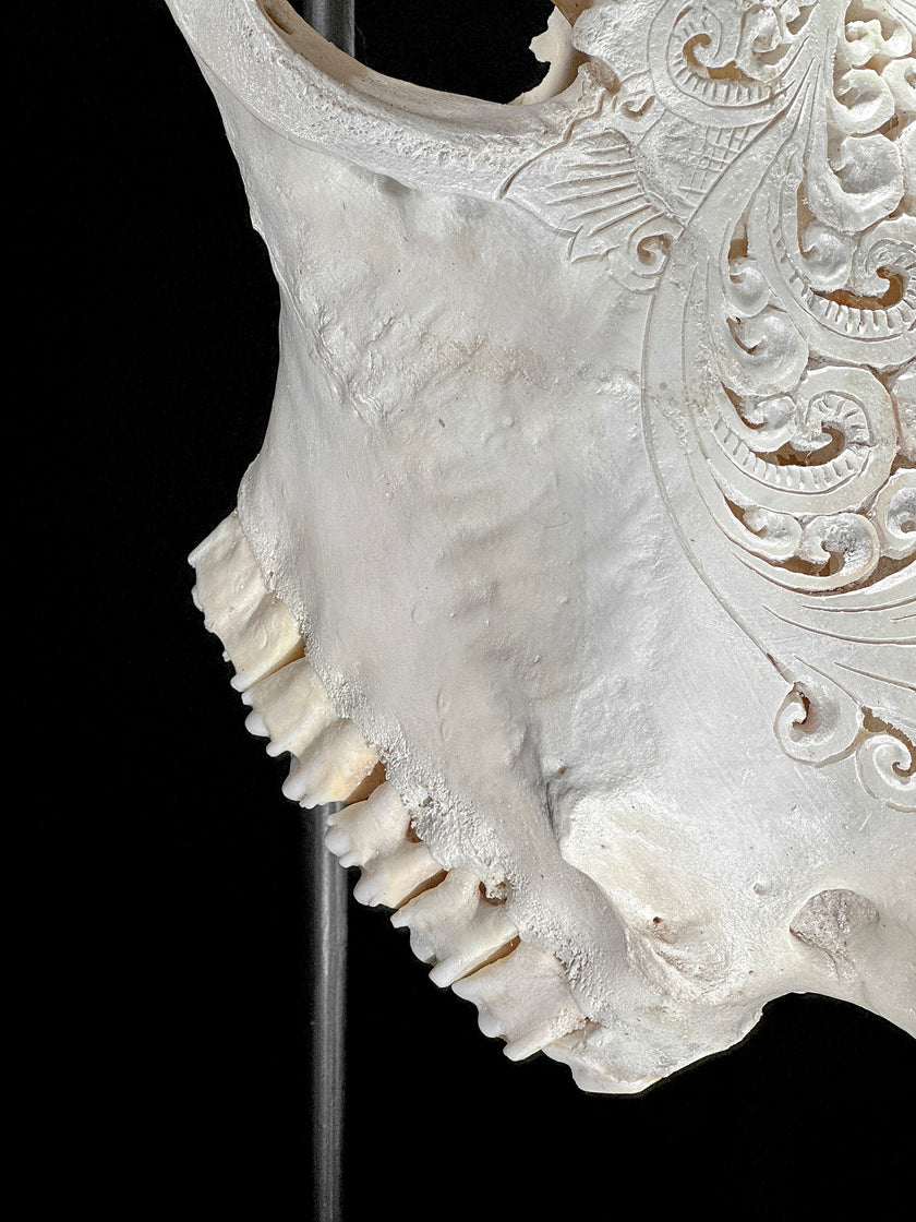 Bull Skull Carved Tradball - Skull,A/150