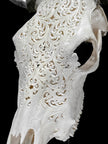 Bull Skull Carved Tradball - Skull,A/150