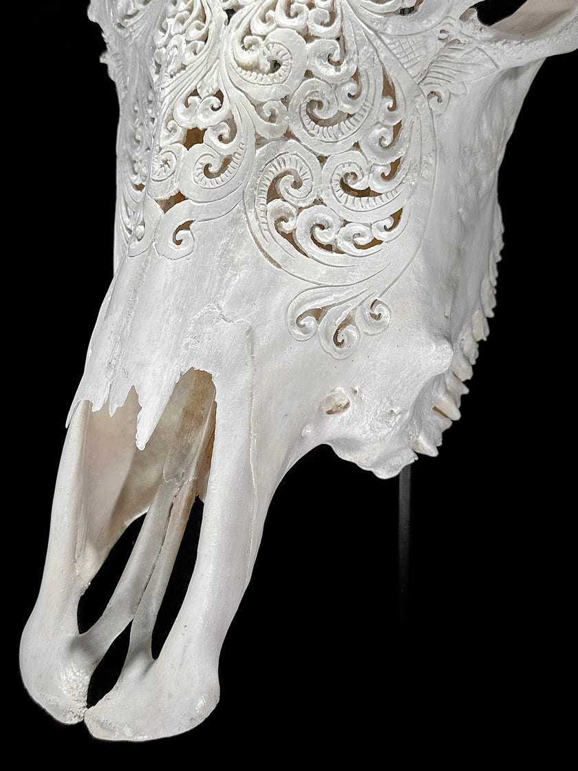 Bull Skull Carved Tradball - Skull,A/150