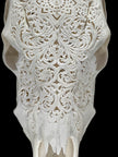 Carved Cow Skulls with Star Mandala Carving Skull,A/185