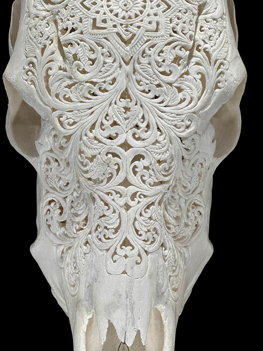 Carved Cow Skulls with Star Mandala Carving Skull,A/185