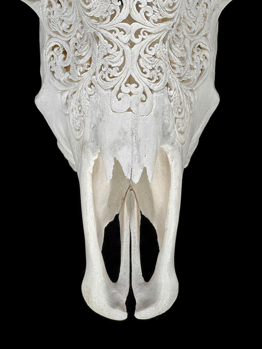Carved Cow Skulls with Star Mandala Carving Skull,A/185