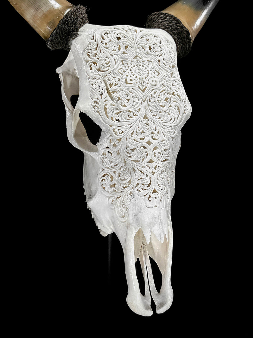 Carved Cow Skulls with Star Mandala Carving Skull,A/185