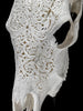 Carved Cow Skulls with Star Mandala Carving Skull,A/185