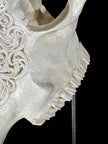 Carved Cow Skulls with Star Mandala Carving Skull,A/185