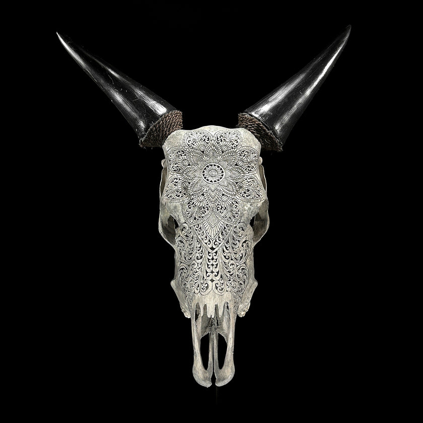 Carved Cow Skulls with Flower Mandala Carving Skull,A/184