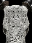 Carved Cow Skulls with Flower Mandala Carving Skull,A/184