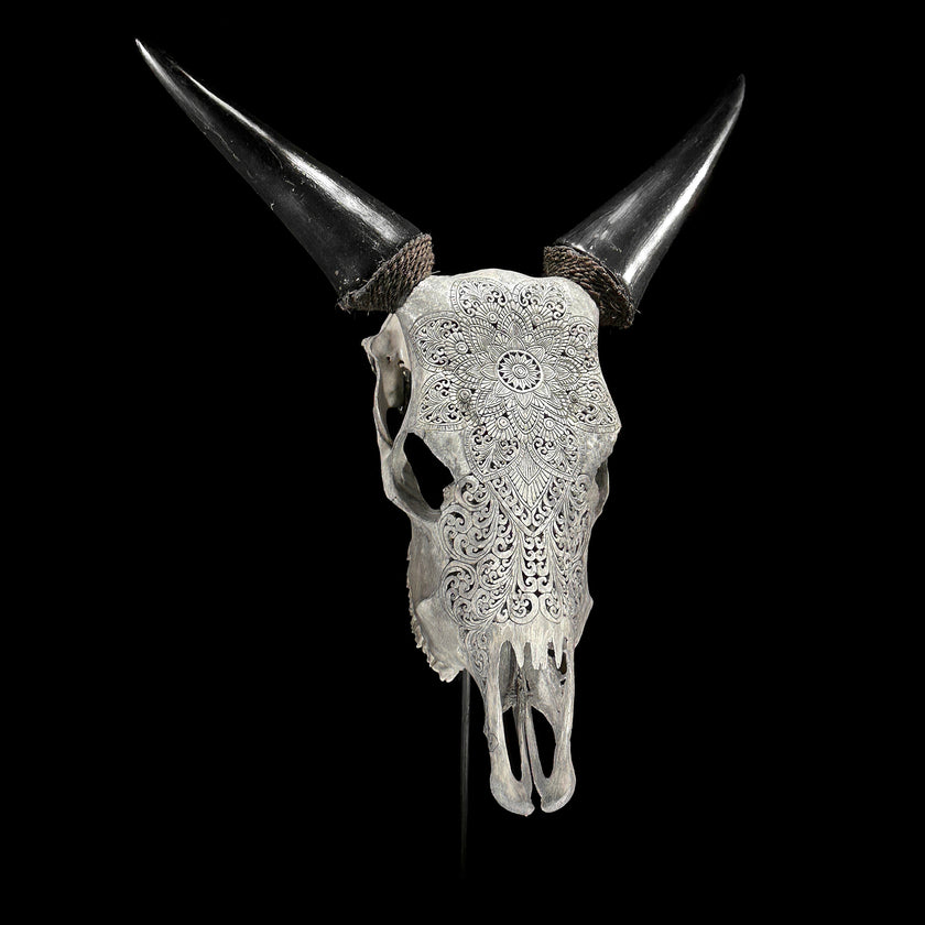 Carved Cow Skulls with Flower Mandala Carving Skull,A/184
