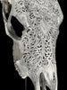Carved Cow Skulls with Flower Mandala Carving Skull,A/184