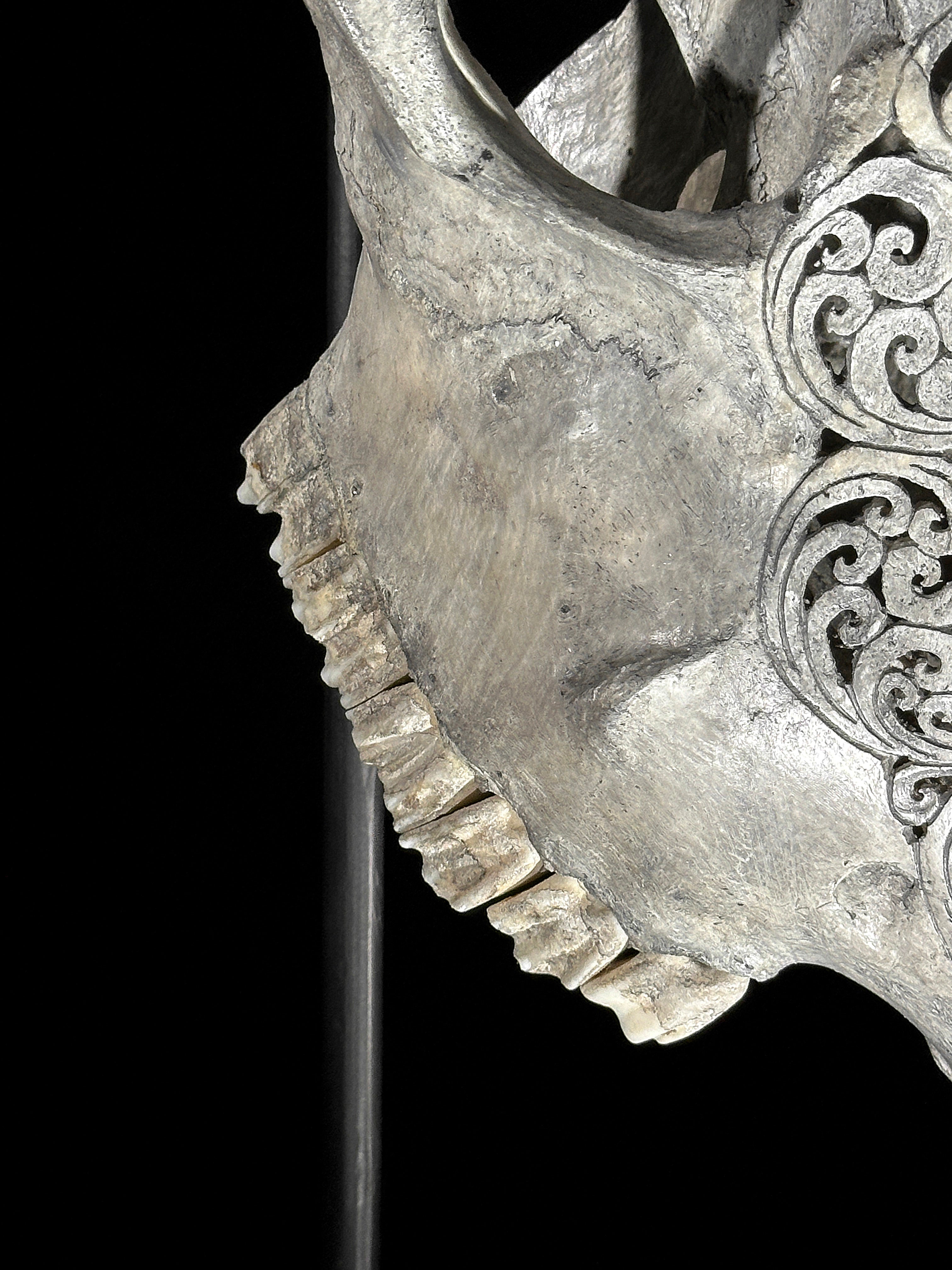 Carved Cow Skulls with Flower Mandala Carving Skull,A/184