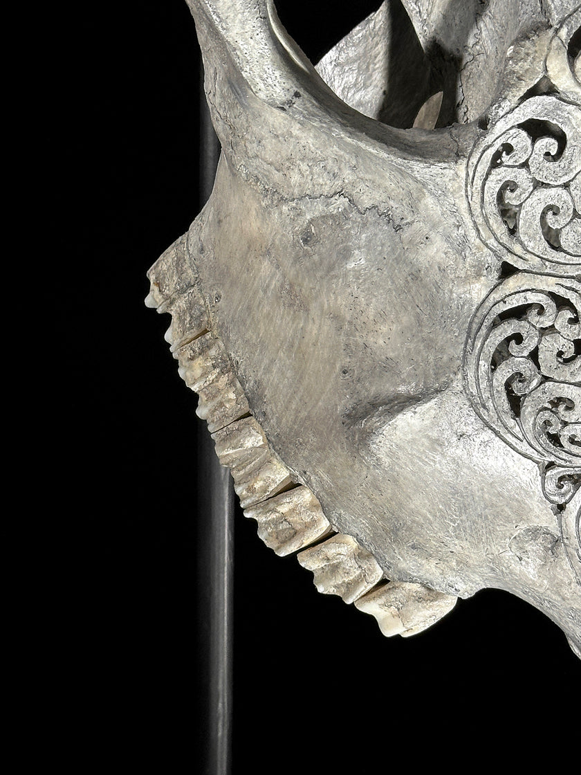 Carved Cow Skulls with Flower Mandala Carving Skull,A/184