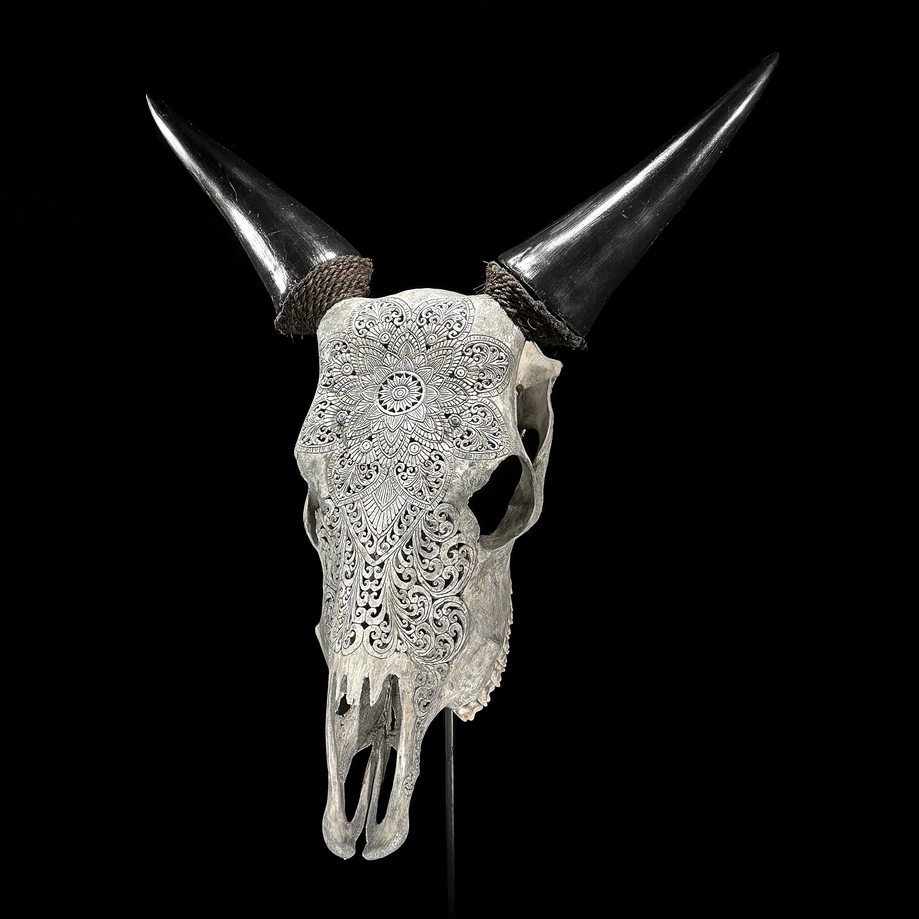 Carved Cow Skulls with Flower Mandala Carving Skull,A/184