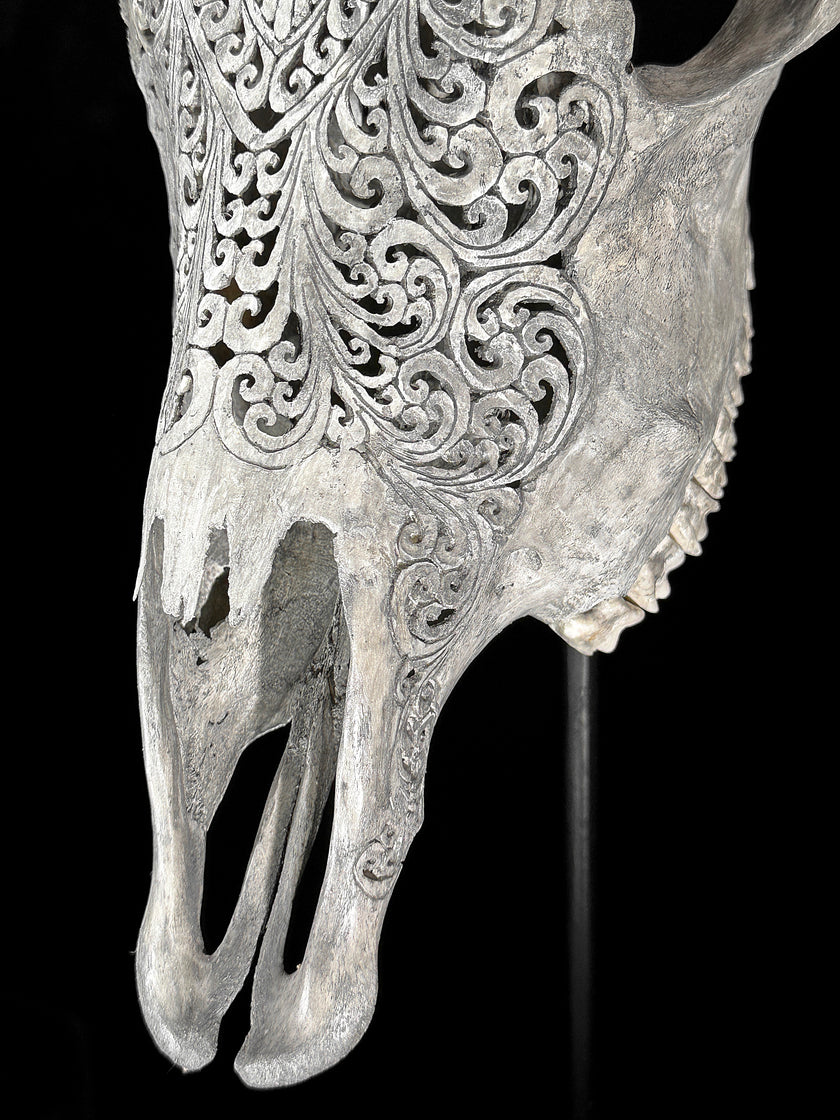 Carved Cow Skulls with Flower Mandala Carving Skull,A/184