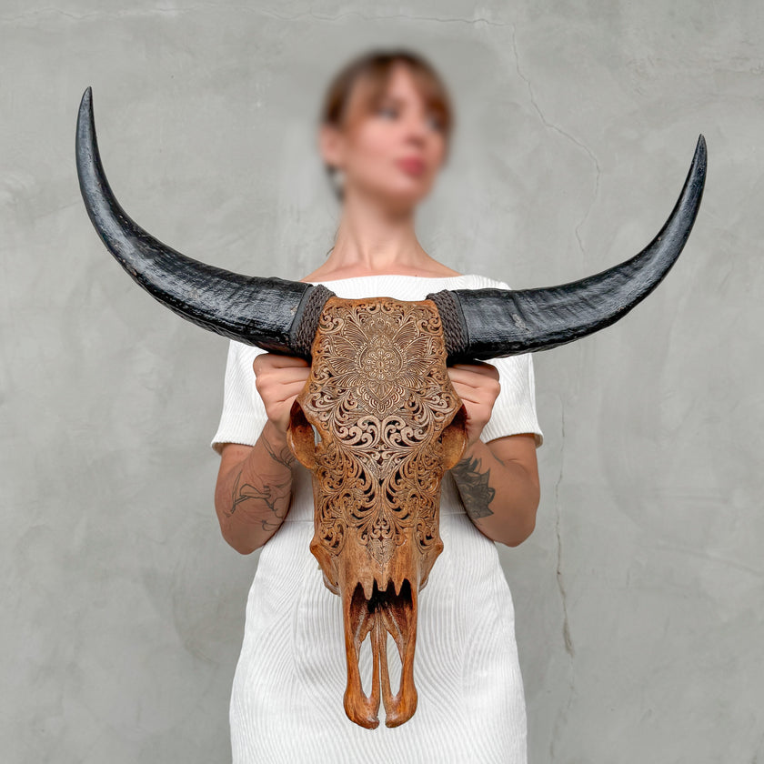 Brown Carved Buffalo Skulls with Floral motif | Skull,A/102