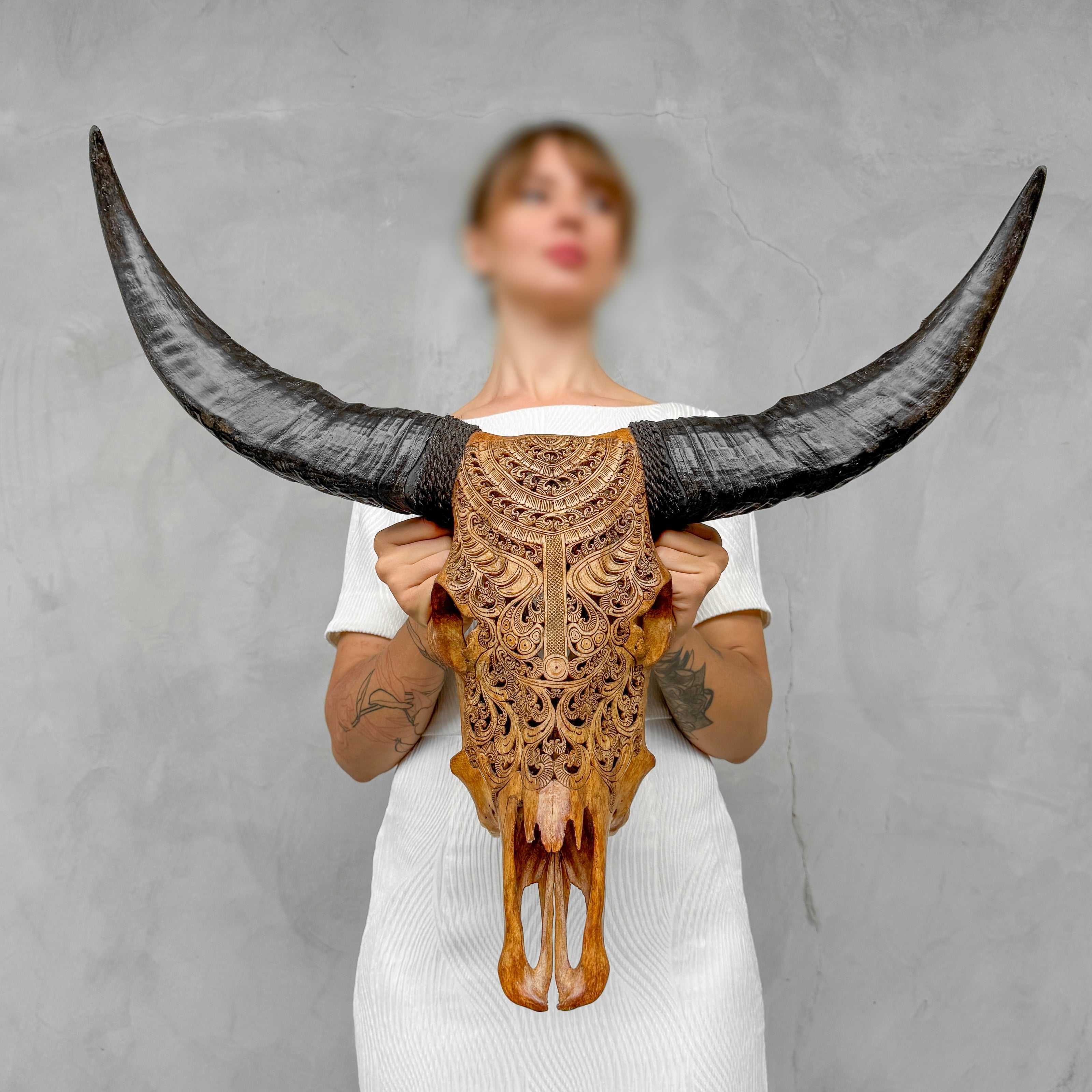 Carved Buffalo Skull with Horns – Real Bone Wall Art from Bali | Badong Motif | Tribal Home Decor | Ethically Sourced Skull - Skull,A/110