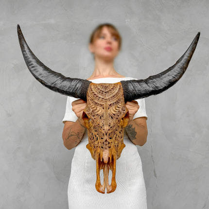 Carved Buffalo Skull with Horns – Real Bone Wall Art from Bali | Badong Motif | Tribal Home Decor | Ethically Sourced Skull - Skull,A/110