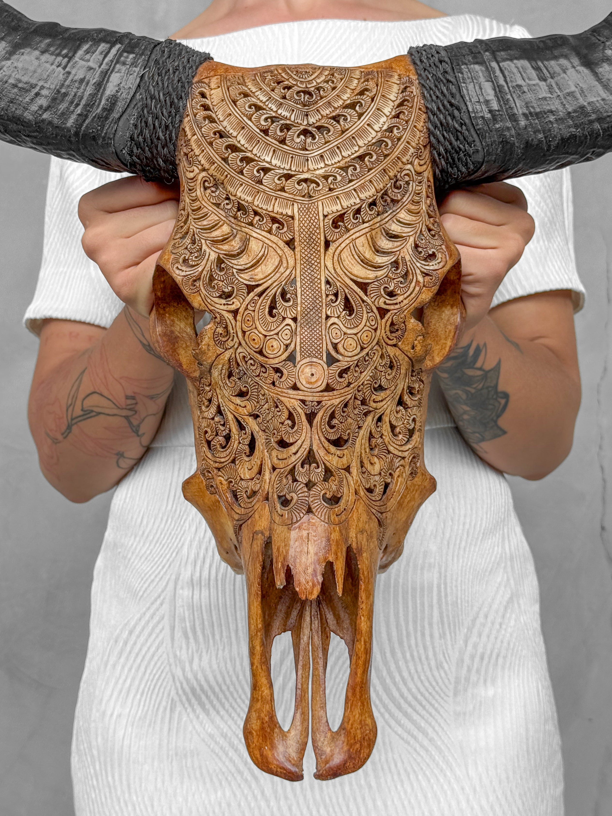 Carved Buffalo Skull with Horns – Real Bone Wall Art from Bali | Badong Motif | Tribal Home Decor | Ethically Sourced Skull - Skull,A/110
