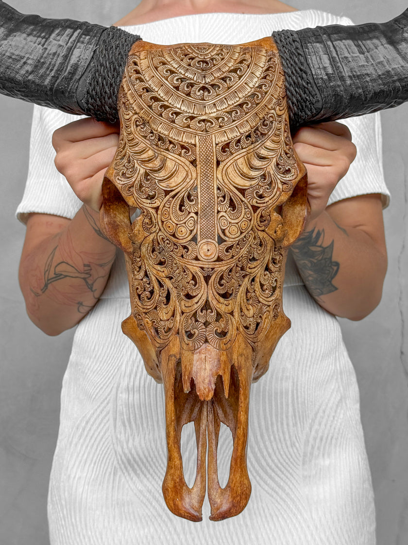 Brown Carved Buffalo Skulls with Badong motif | Skull,A/110