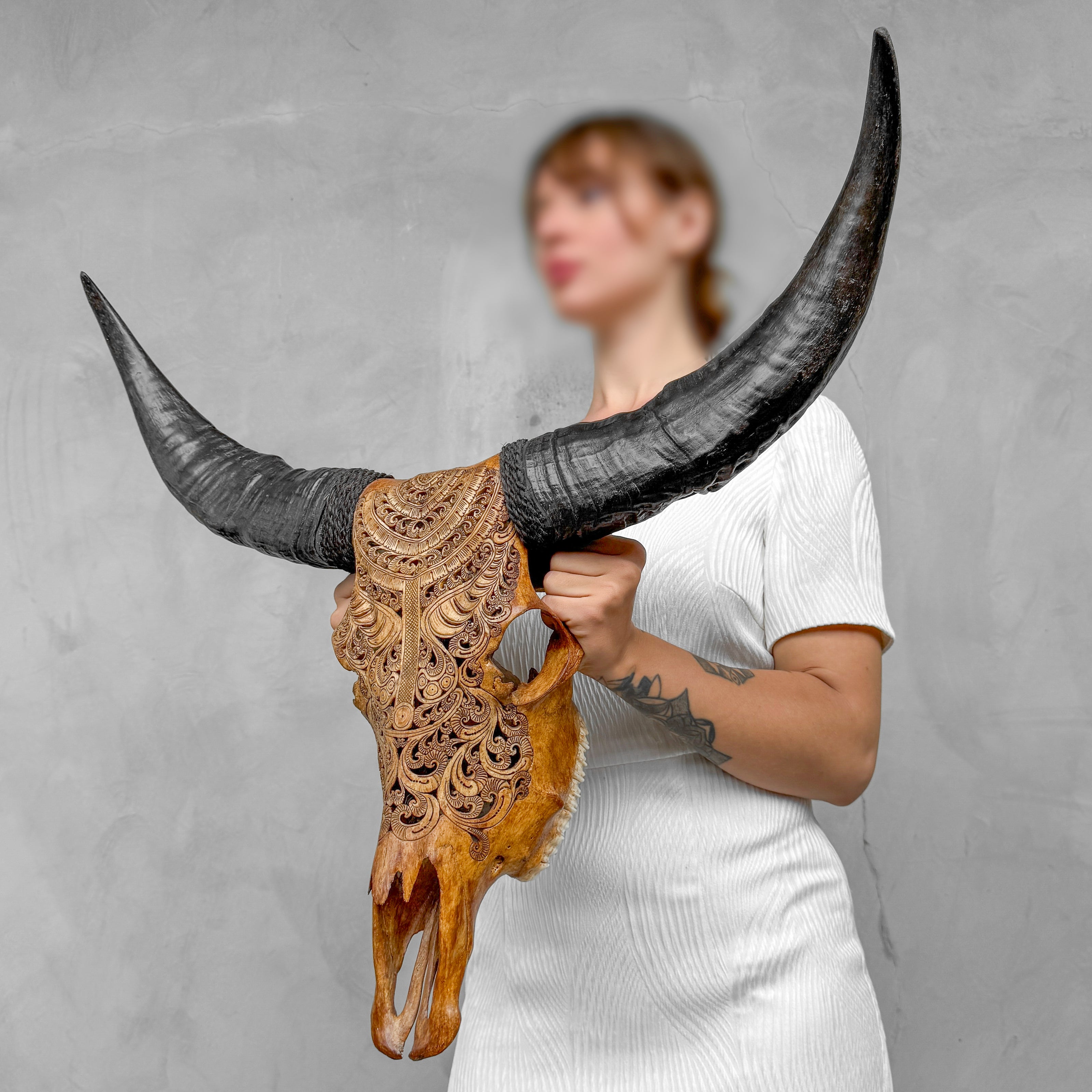 Carved Buffalo Skull with Horns – Real Bone Wall Art from Bali | Badong Motif | Tribal Home Decor | Ethically Sourced Skull - Skull,A/110