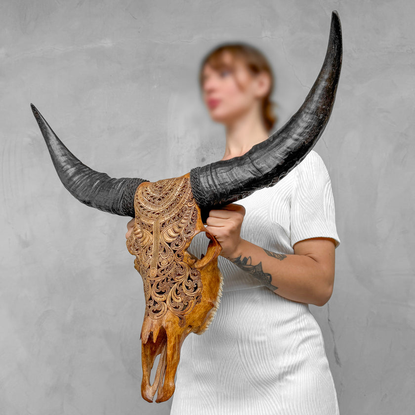Brown Carved Buffalo Skulls with Badong motif | Skull,A/110