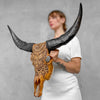 Carved Buffalo Skull with Horns – Real Bone Wall Art from Bali | Badong Motif | Tribal Home Decor | Ethically Sourced Skull - Skull,A/110