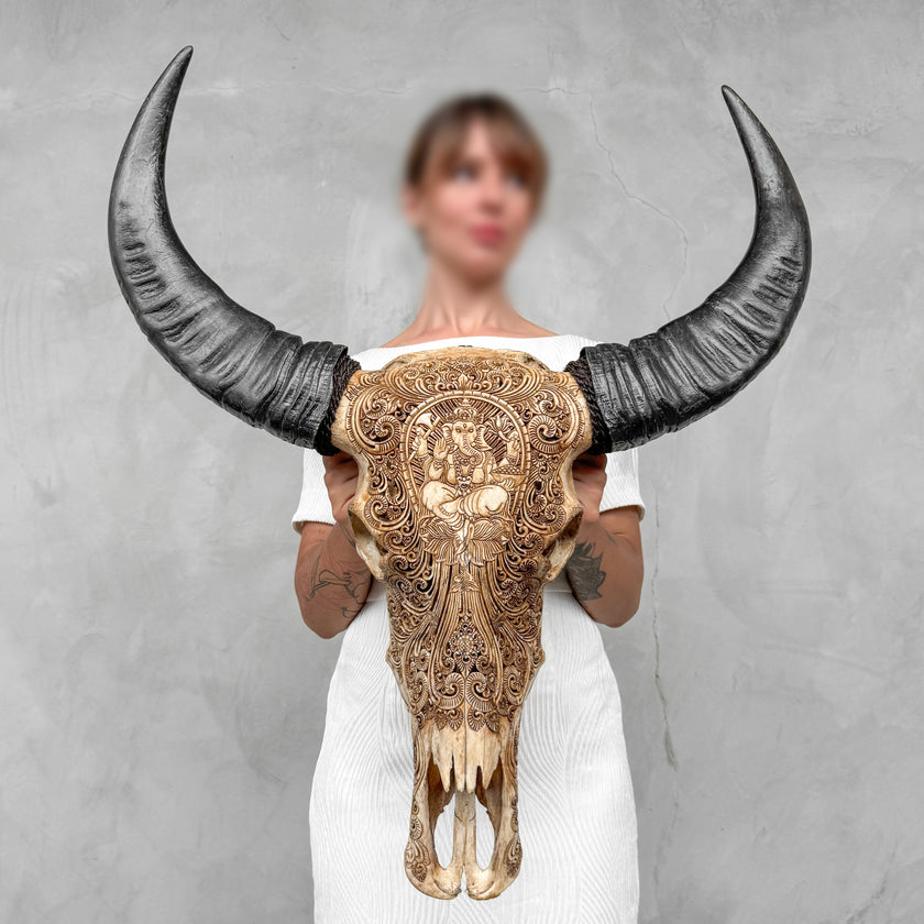 Caved Waterbuffalo Skulls with Ganesha Carving Skull,A/091