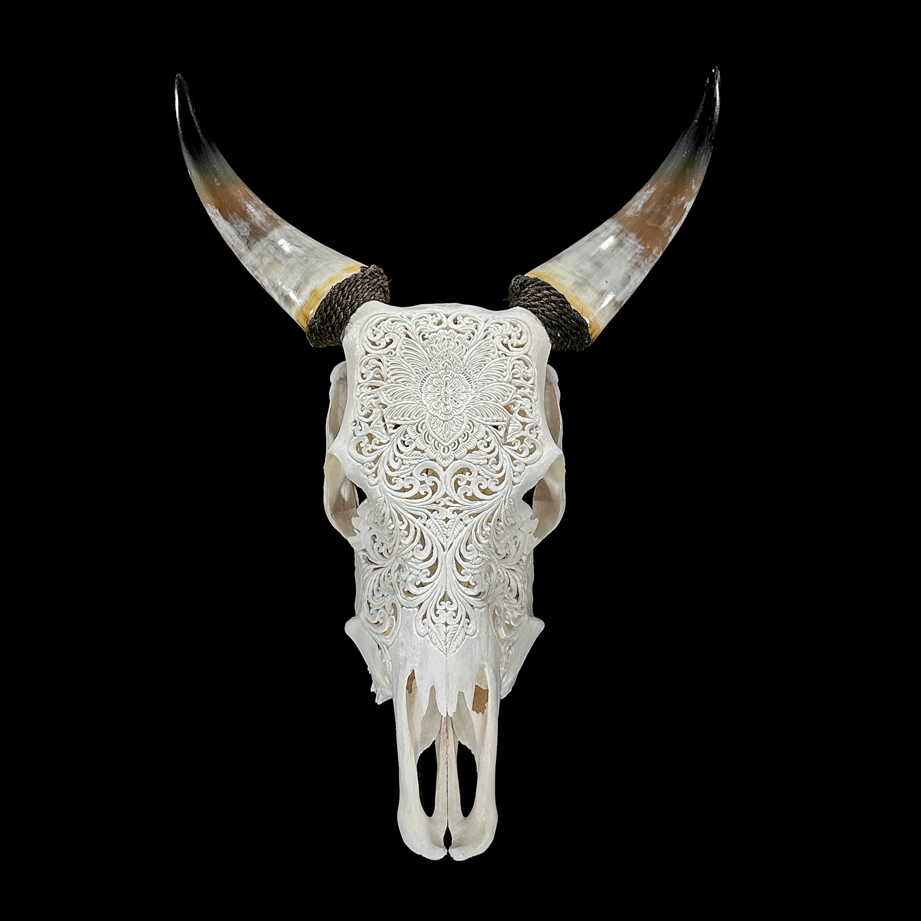 Carved Cow Skulls with Floral Carving Skull,A/186