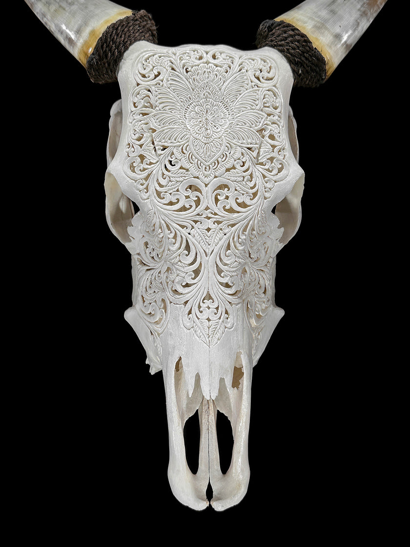Carved Cow Skulls with Floral Carving Skull,A/186