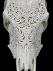 Carved Cow Skulls with Floral Carving Skull,A/186