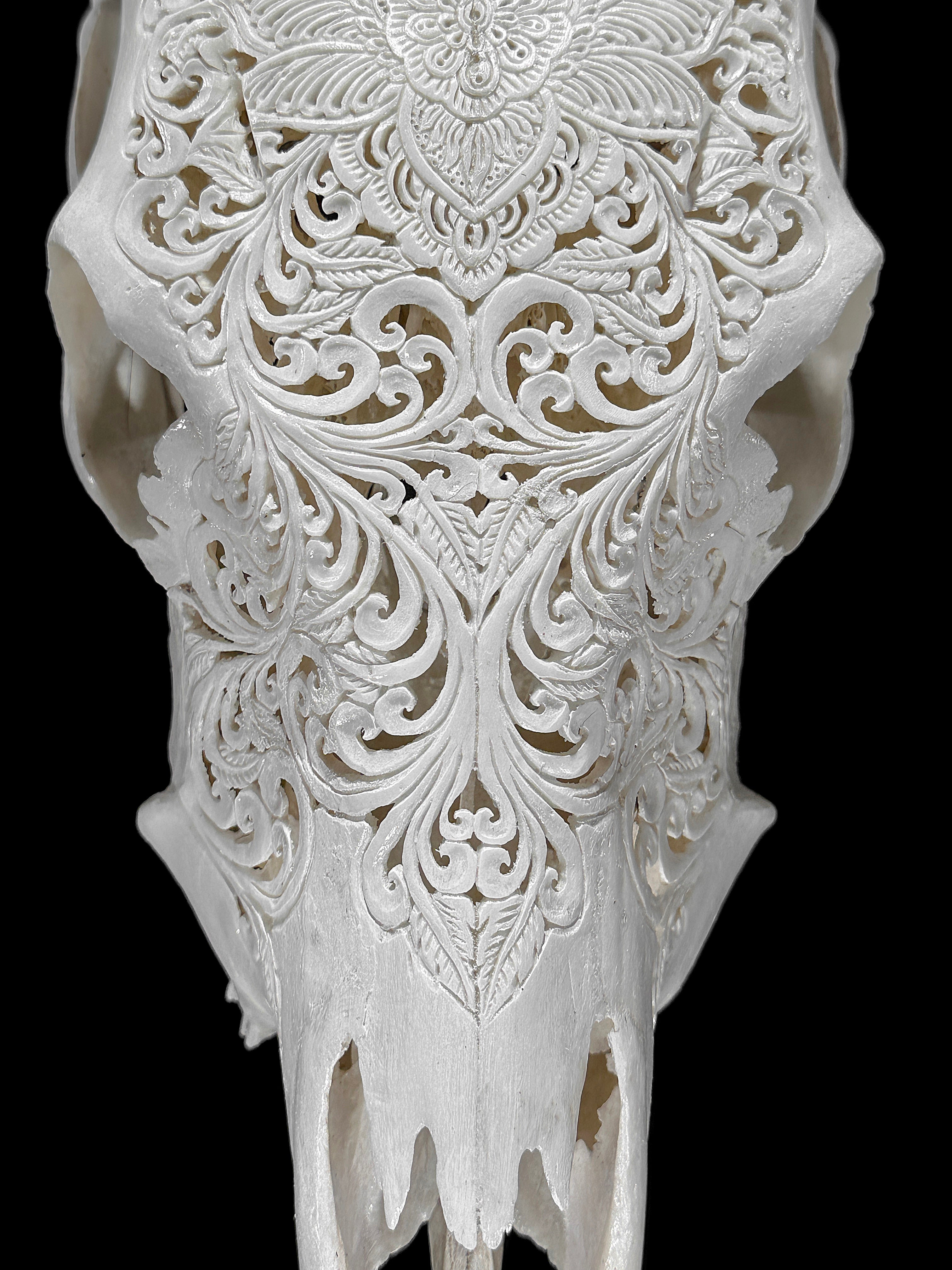Carved Cow Skulls with Floral Carving Skull,A/186