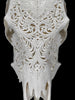 Carved Cow Skulls with Floral Carving Skull,A/186