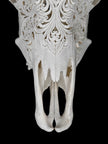 Carved Cow Skulls with Floral Carving Skull,A/186