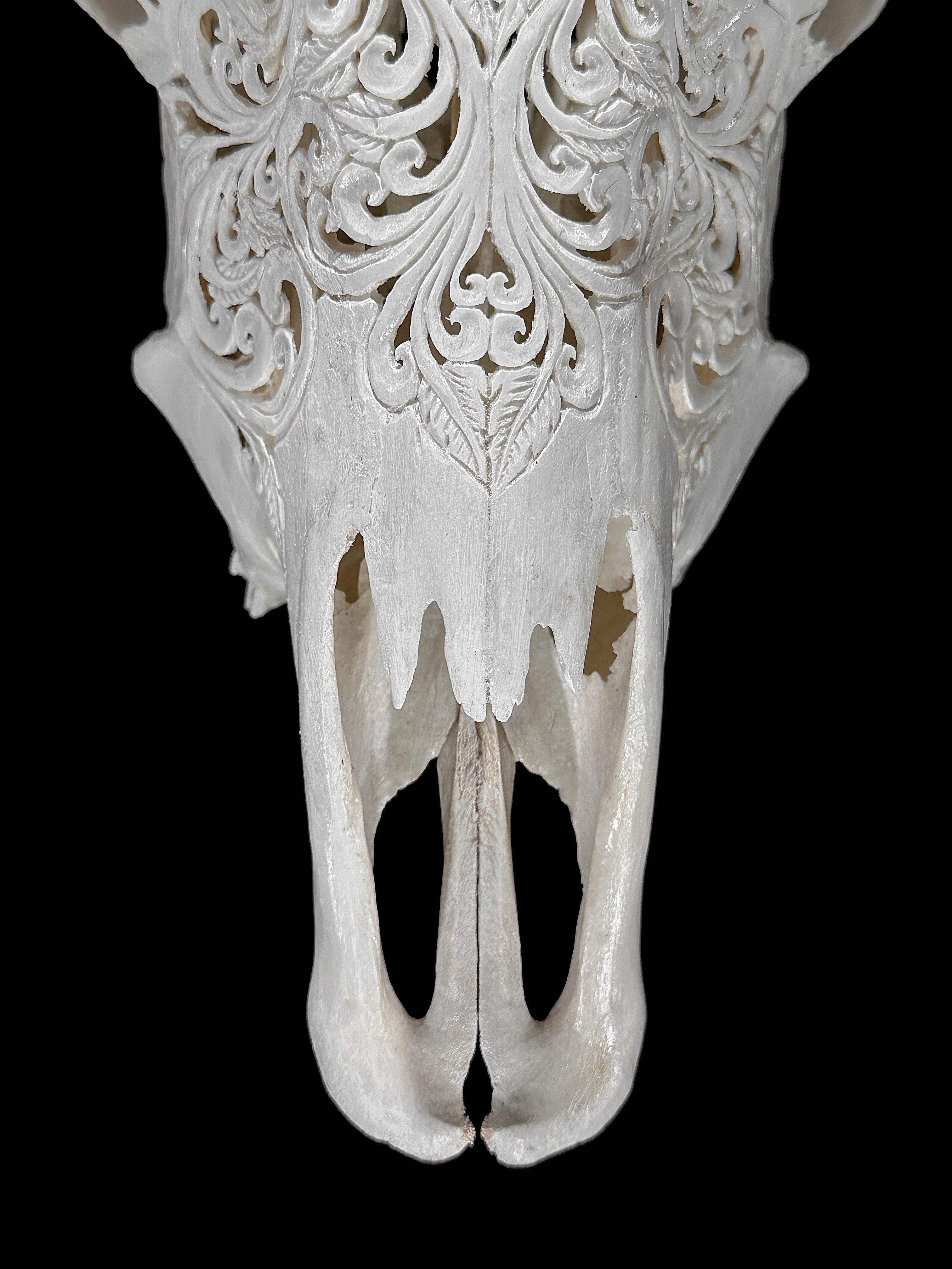 Carved Cow Skulls with Floral Carving Skull,A/186