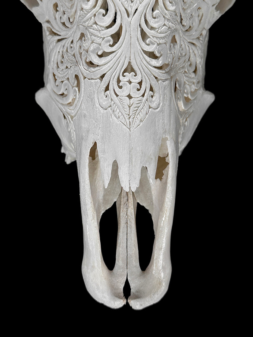 Carved Cow Skulls with Floral Carving Skull,A/186