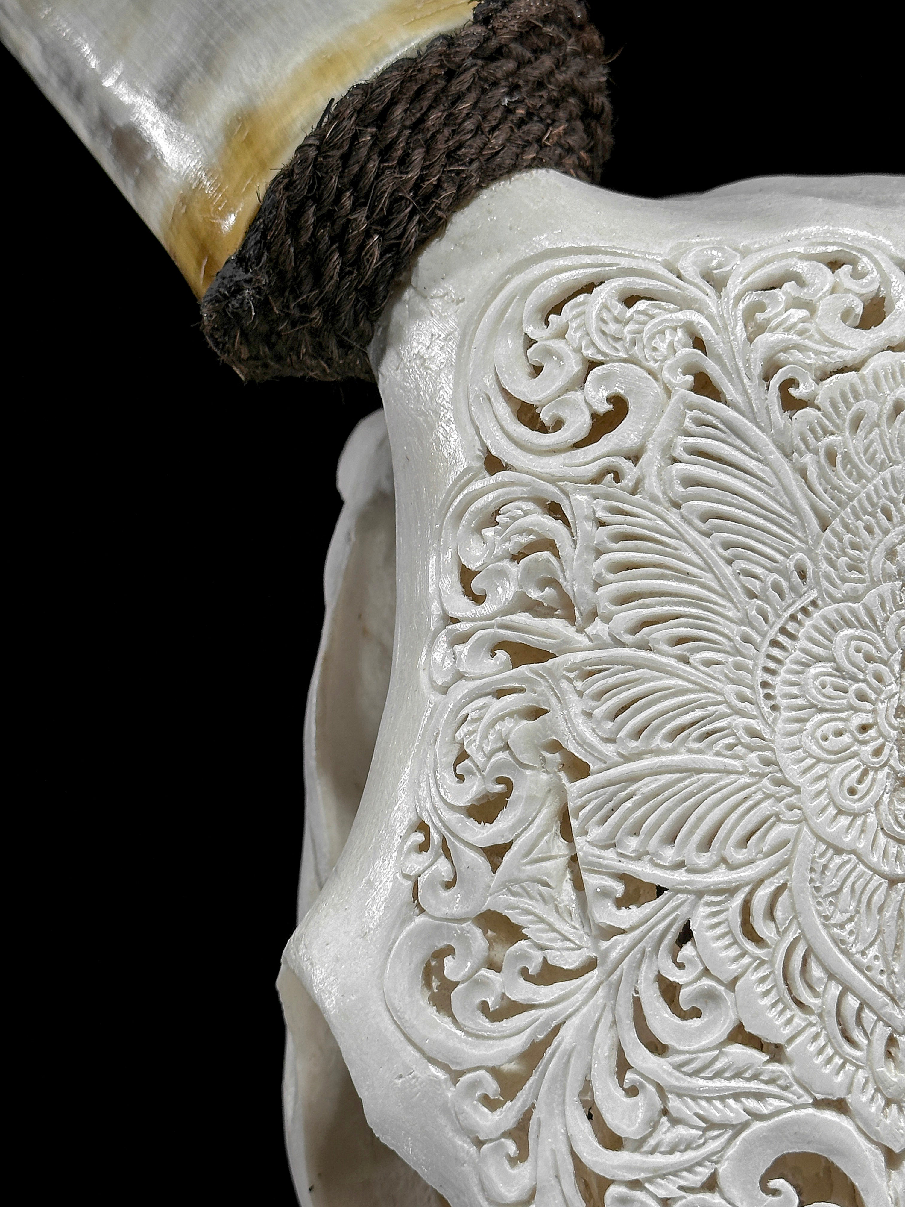 Carved Cow Skulls with Floral Carving Skull,A/186