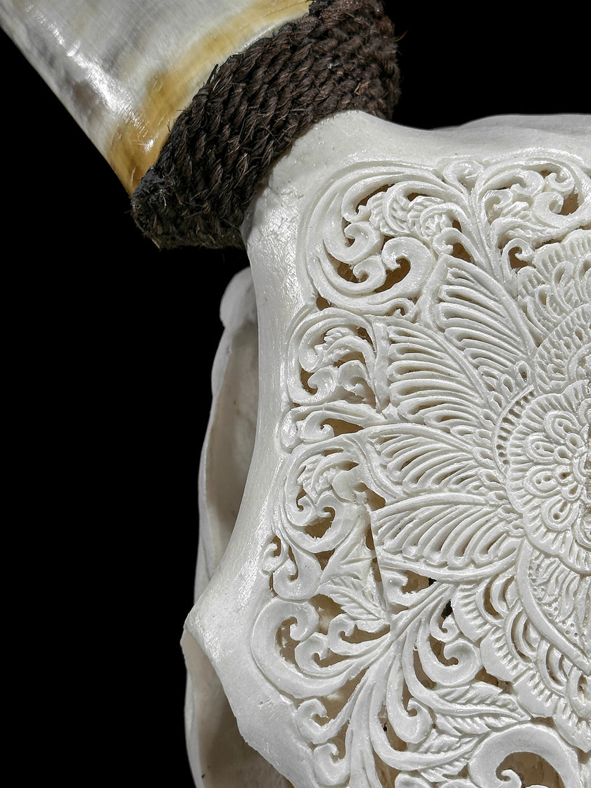 Carved Cow Skulls with Floral Carving Skull,A/186