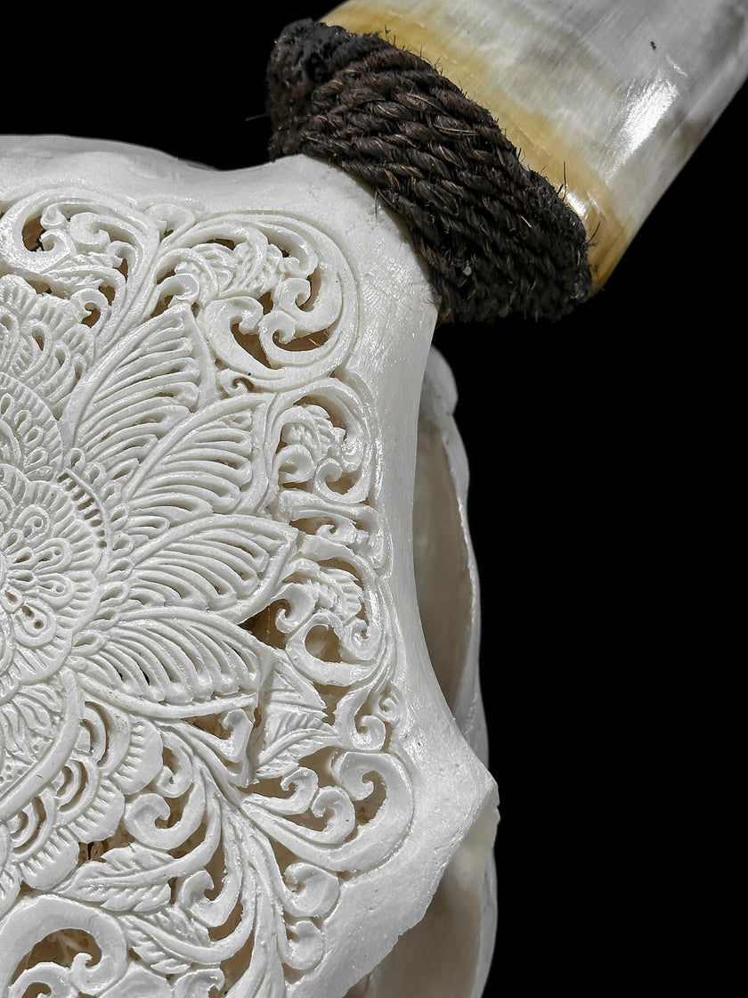 Carved Cow Skulls with Floral Carving Skull,A/186