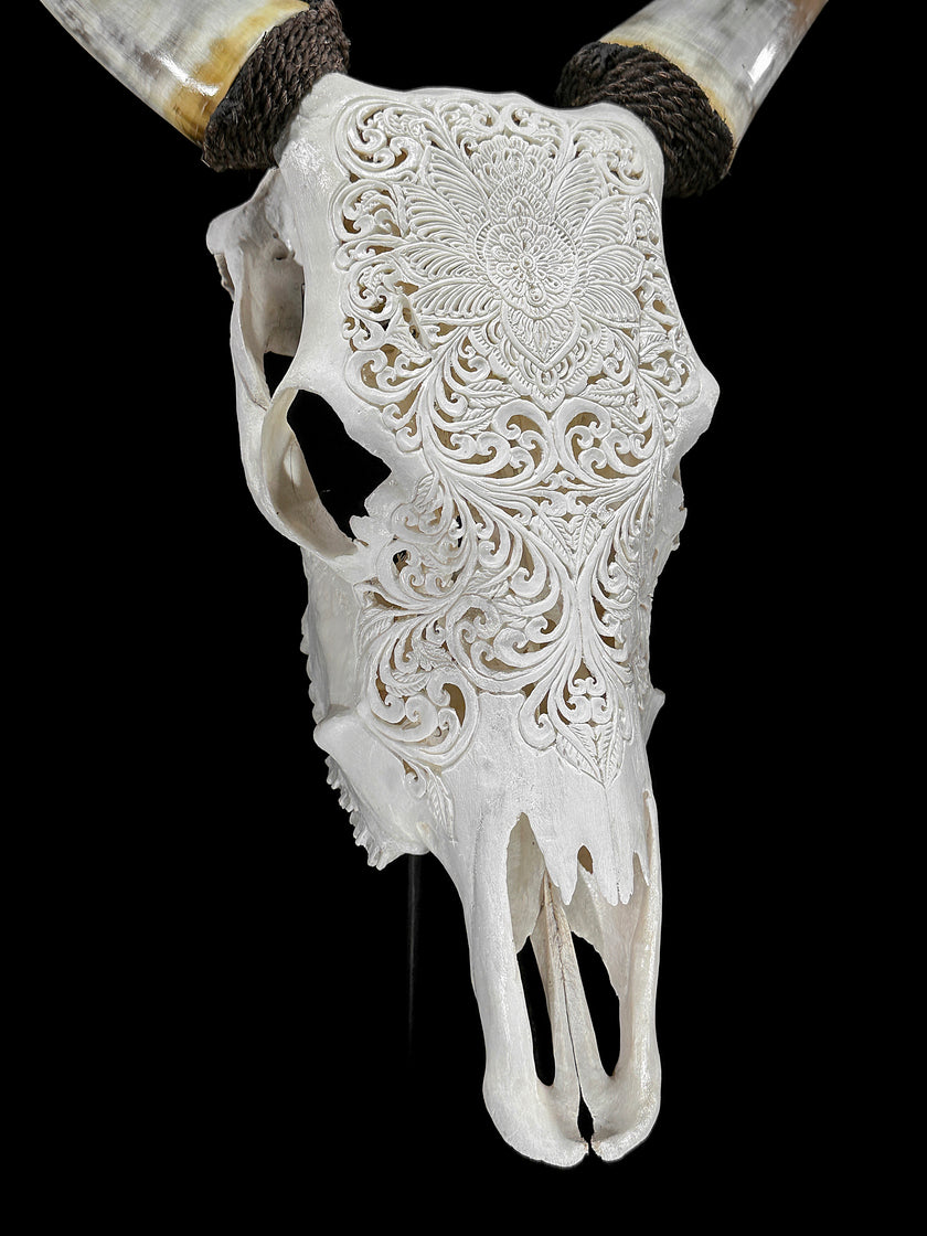 Carved Cow Skulls with Floral Carving Skull,A/186