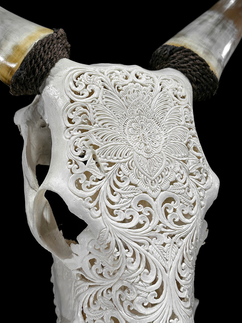 Carved Cow Skulls with Floral Carving Skull,A/186