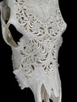 Carved Cow Skulls with Floral Carving Skull,A/186