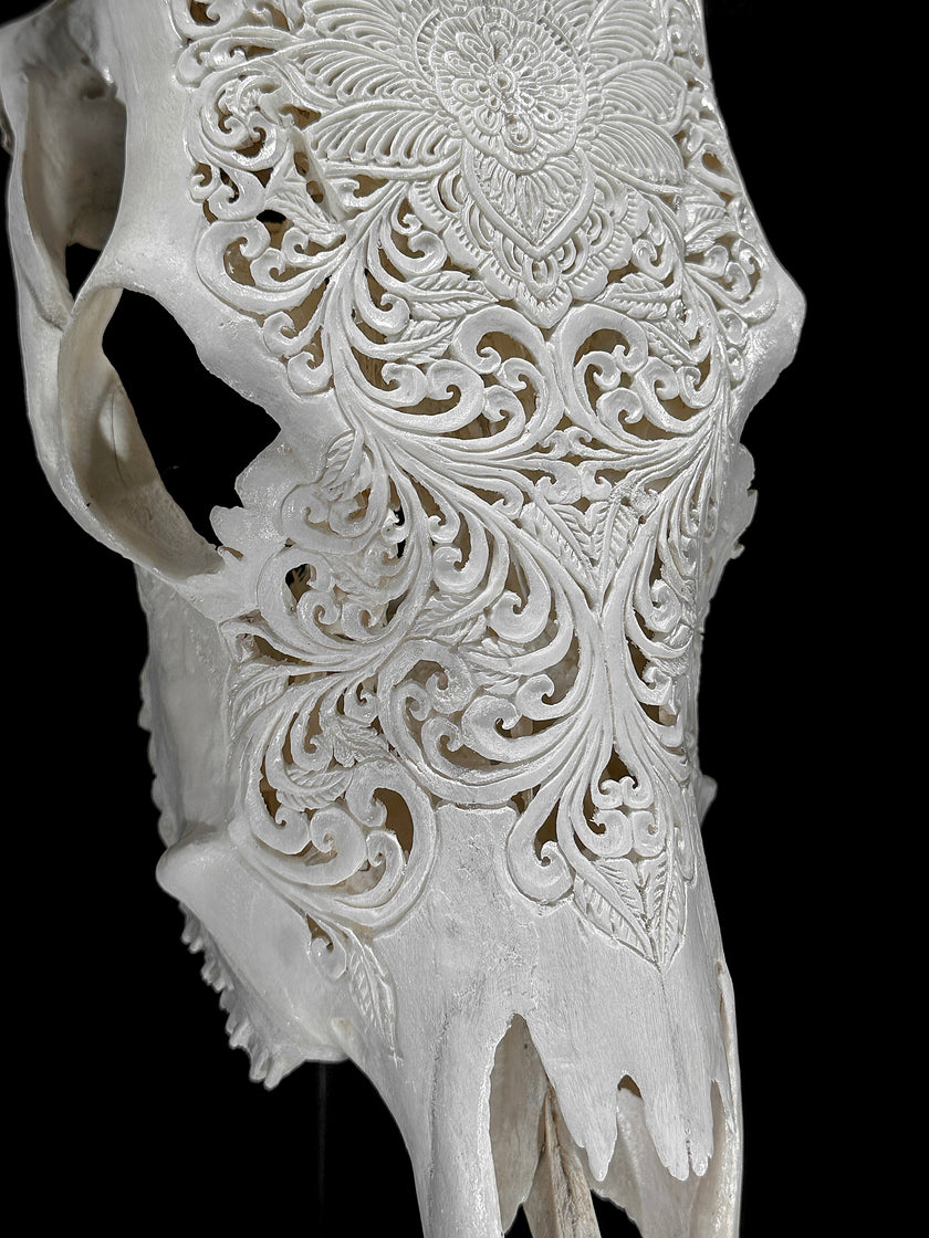 Carved Cow Skulls with Floral Carving Skull,A/186