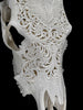 Carved Cow Skulls with Floral Carving Skull,A/186