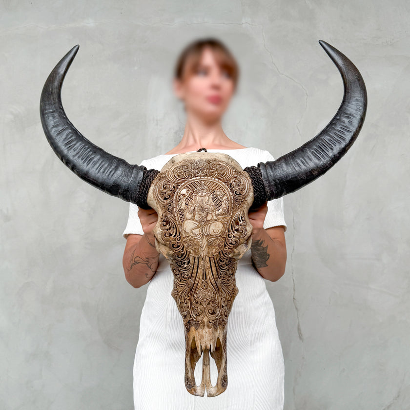 Caved Waterbuffalo Skulls with Ganesha Carving Skull,A/101