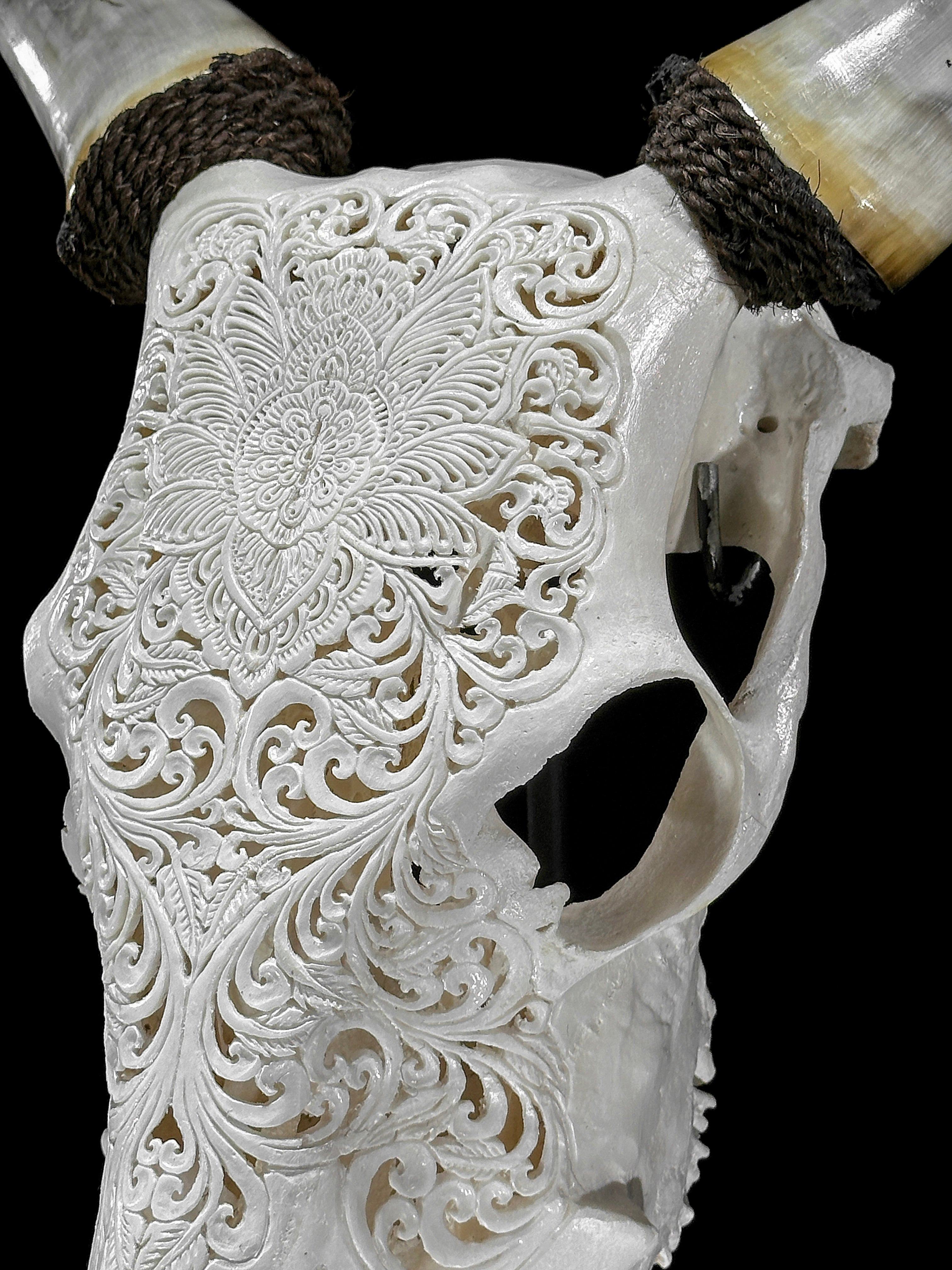 Carved Cow Skulls with Floral Carving Skull,A/186