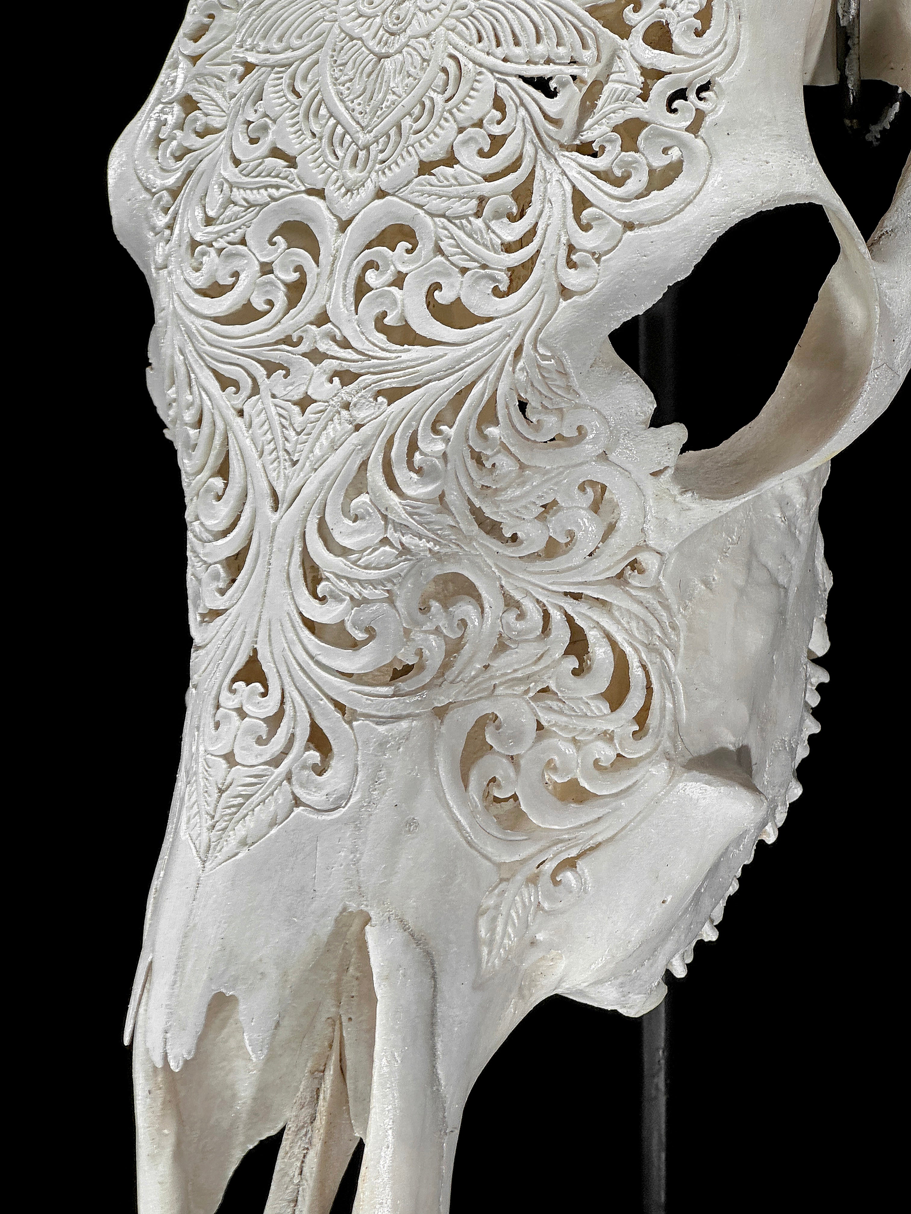 Carved Cow Skulls with Floral Carving Skull,A/186