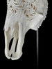 Carved Cow Skulls with Floral Carving Skull,A/186